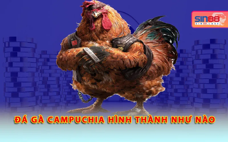 da-ga-campuchia-hinh-thanh-nhu-nao