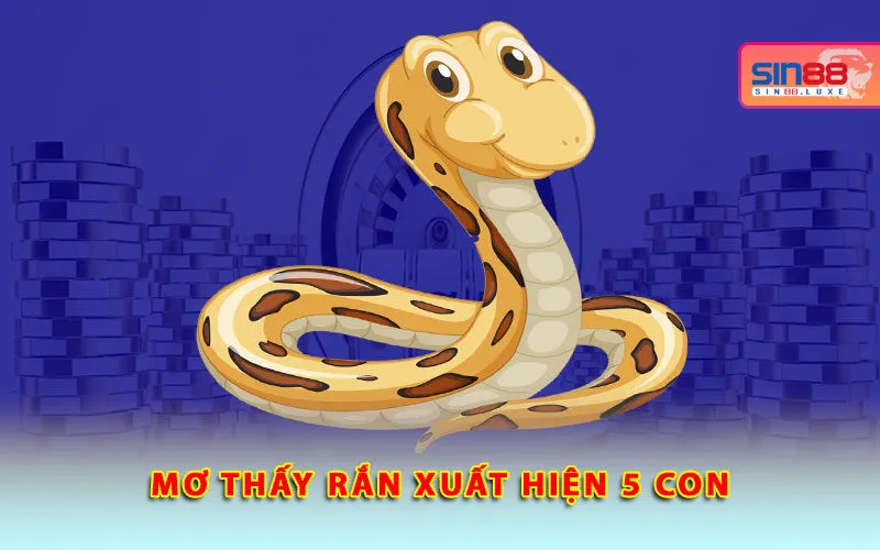 mo-thay-ran-xuat-hien-5-con