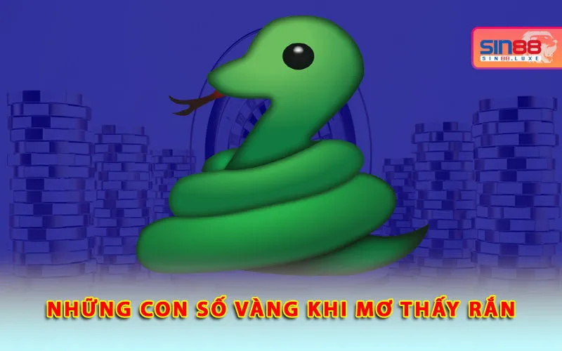nhung-con-so-vang-khi-mo-thay-ran