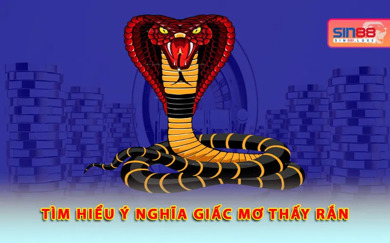 tim-hieu-y-nghia-giac-mo-thay-ran